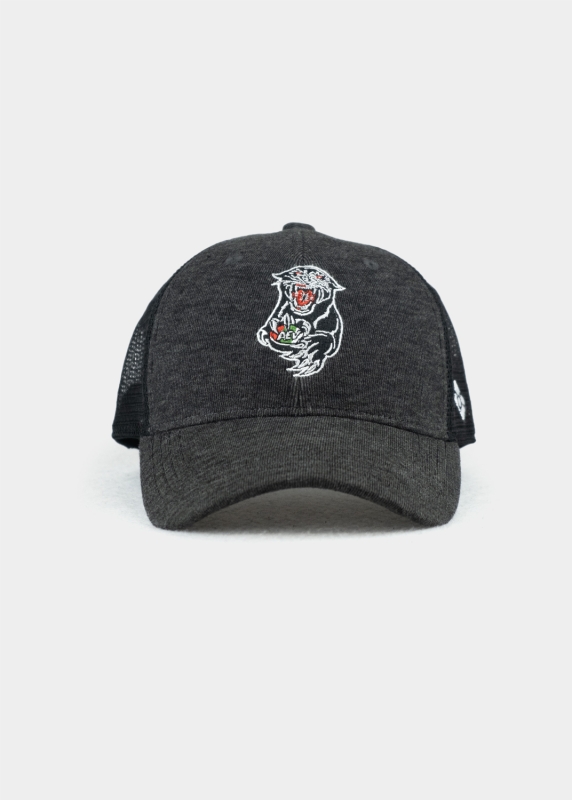 Cap "Augsburger Panther" - schwarz (Curved)